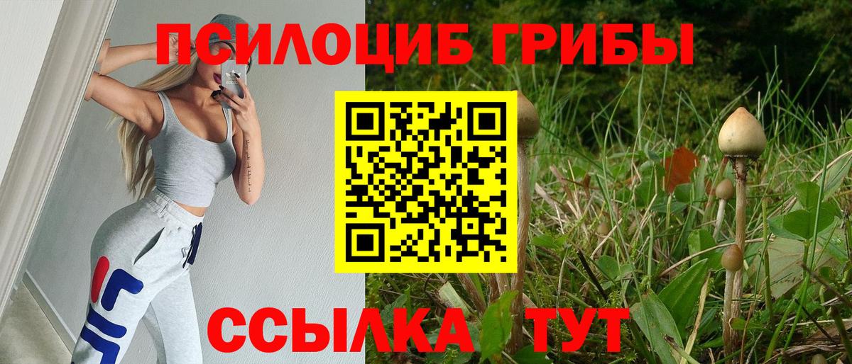 Севастополь  Псилоцибиновые грибы ЛСД  Вход с VPN 