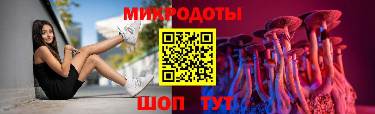 Псилоцибиновые грибы прущие грибы Севастополь